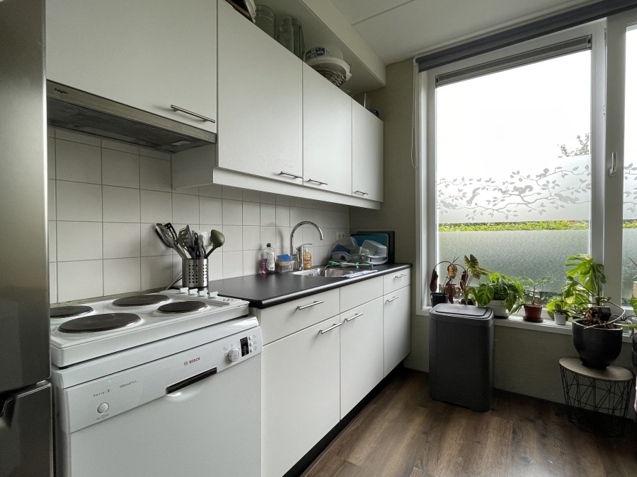 korianderstraat 01