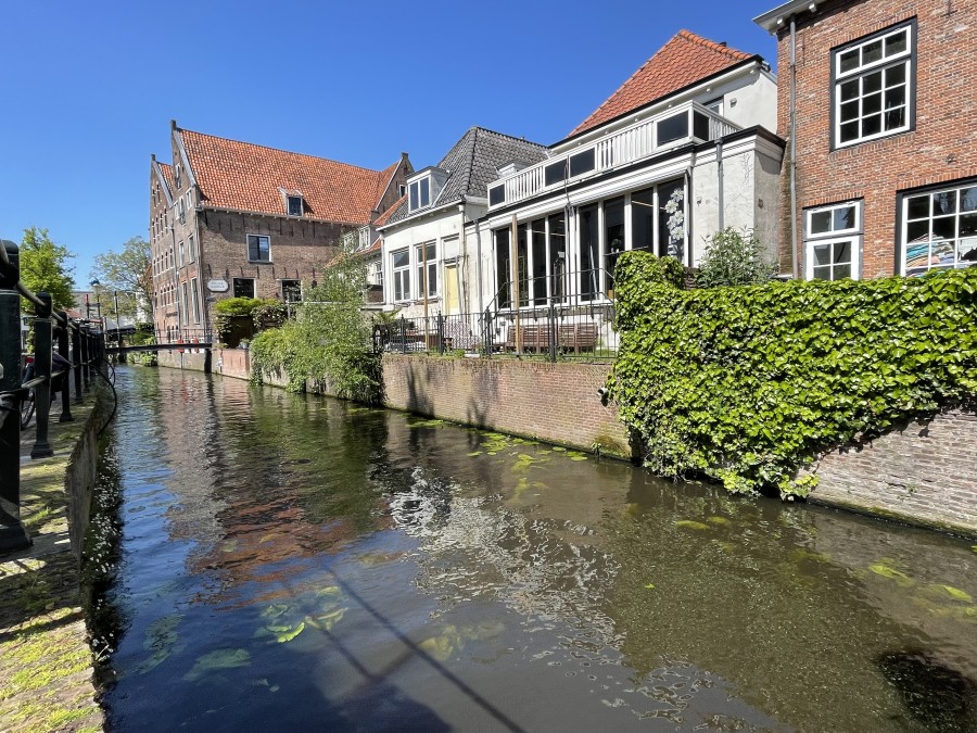 korianderstraat 01