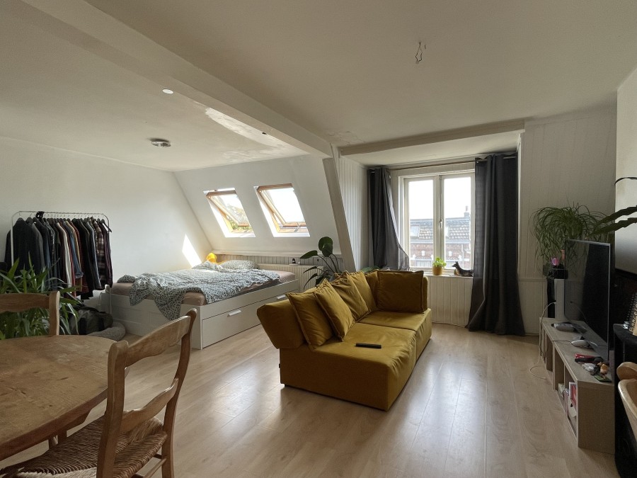 korianderstraat 01
