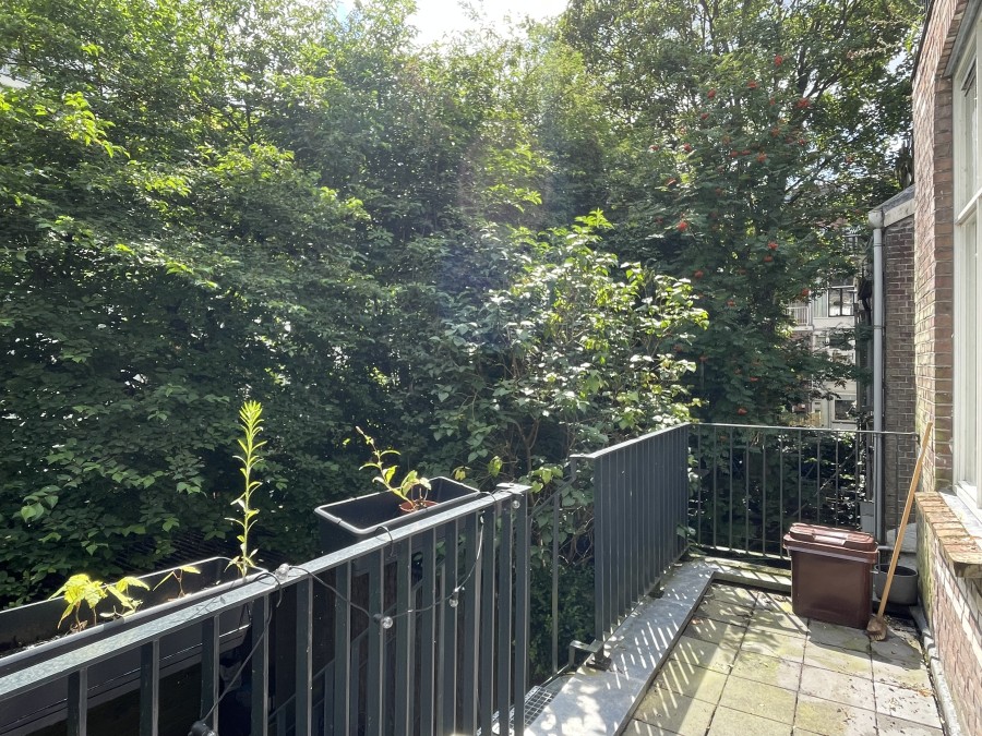korianderstraat 01
