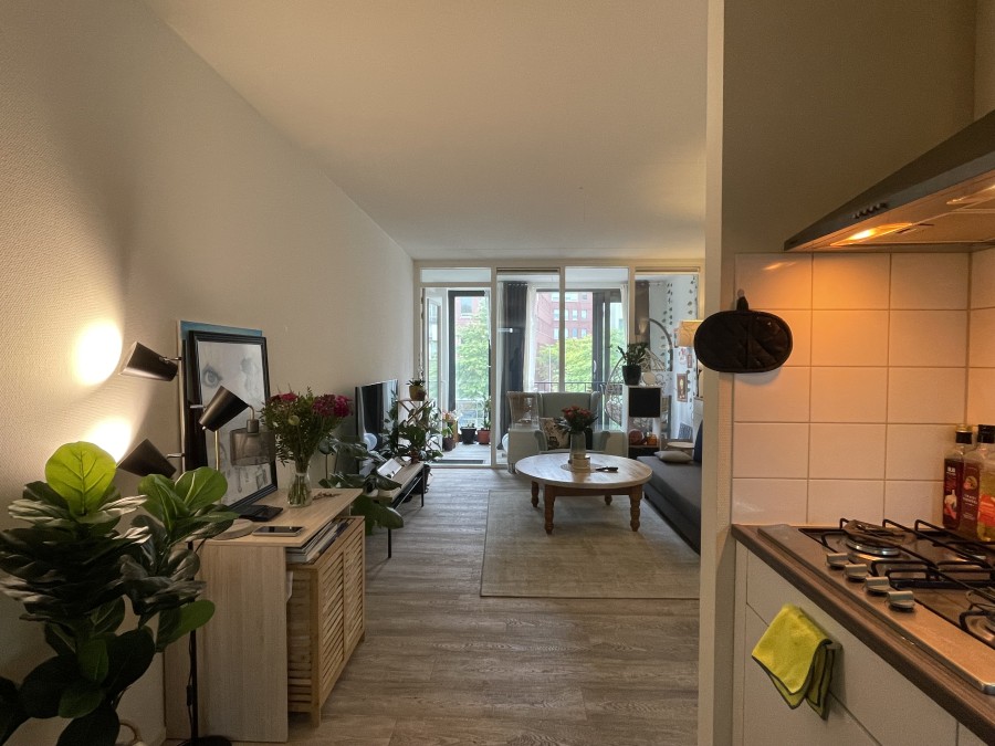 korianderstraat 01