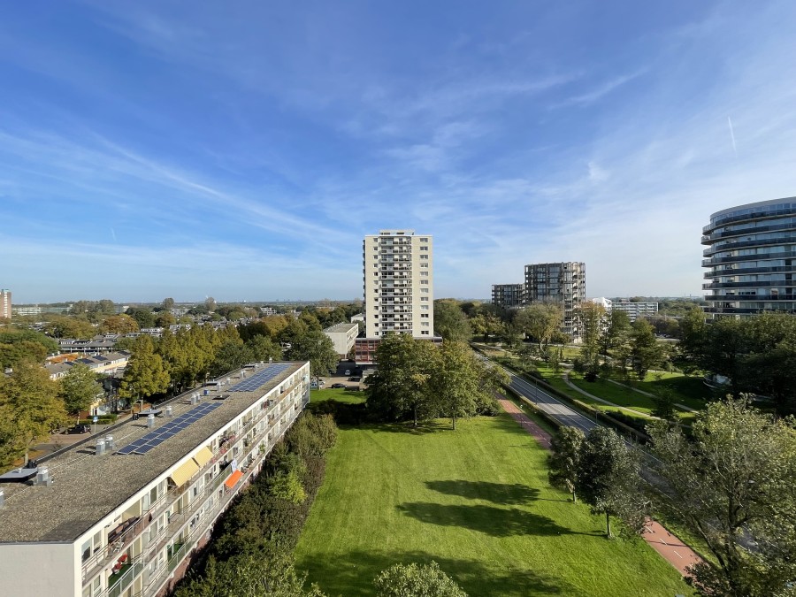 korianderstraat 01