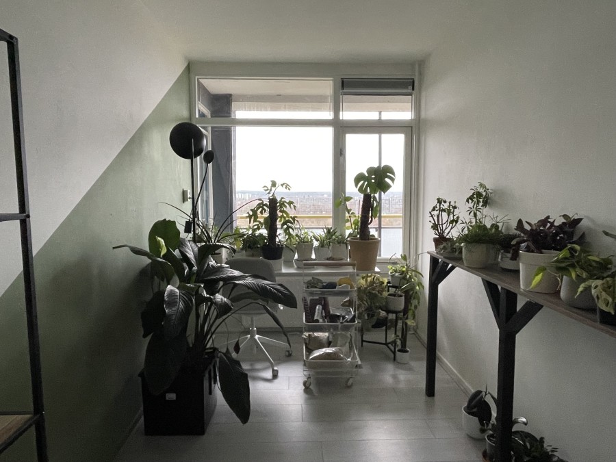 korianderstraat 01