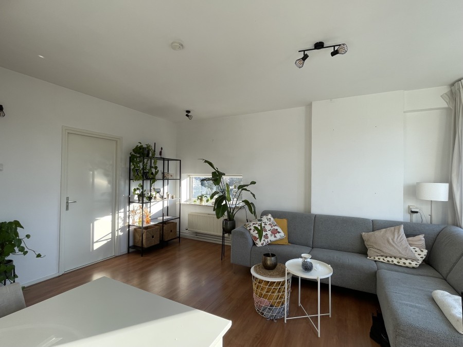 korianderstraat 01