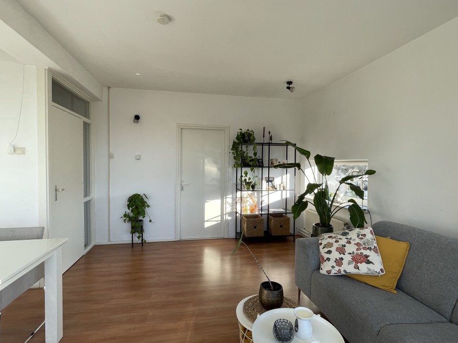 korianderstraat 01
