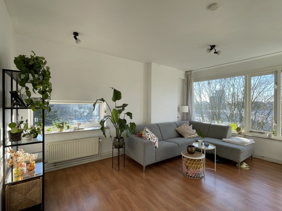 korianderstraat 01
