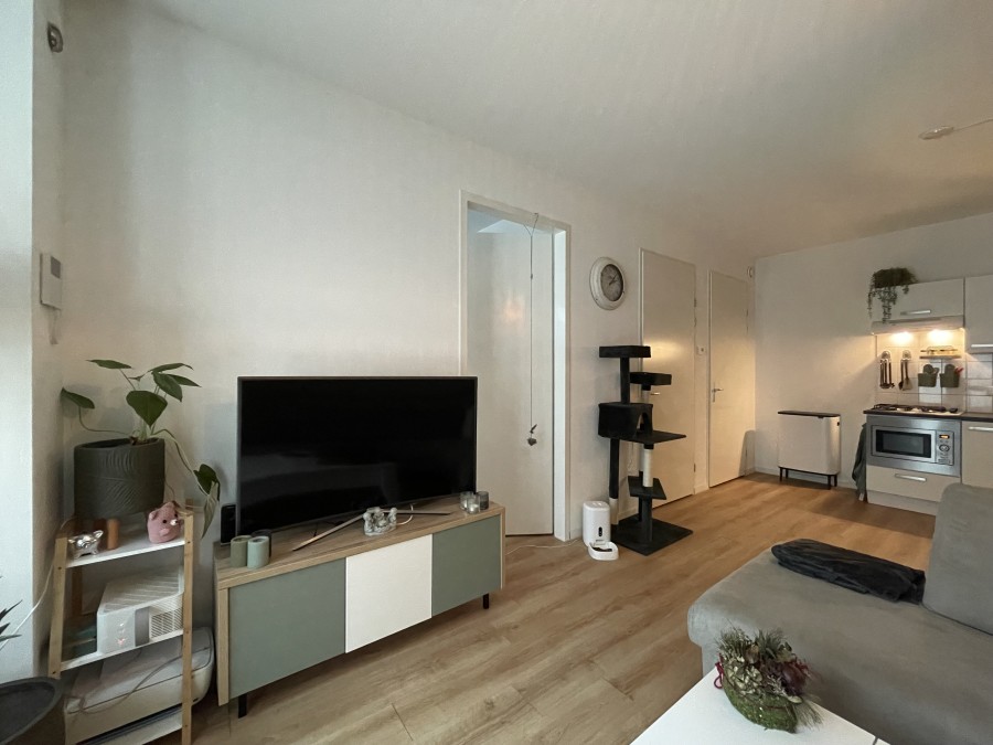 korianderstraat 01