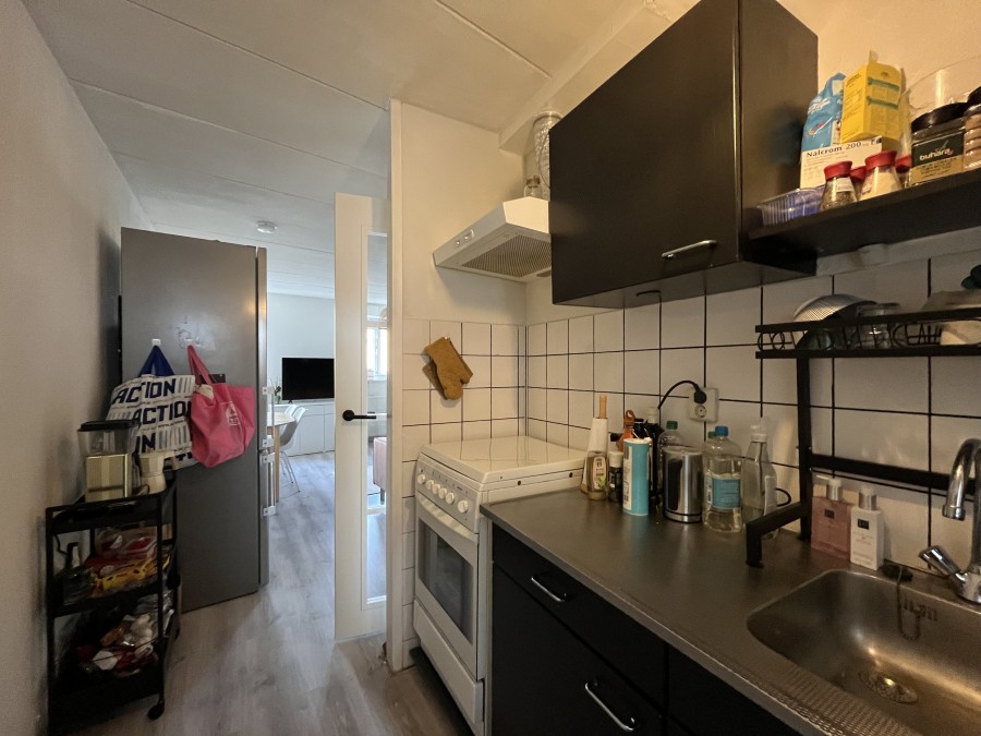korianderstraat 01