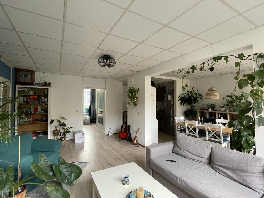 korianderstraat 01