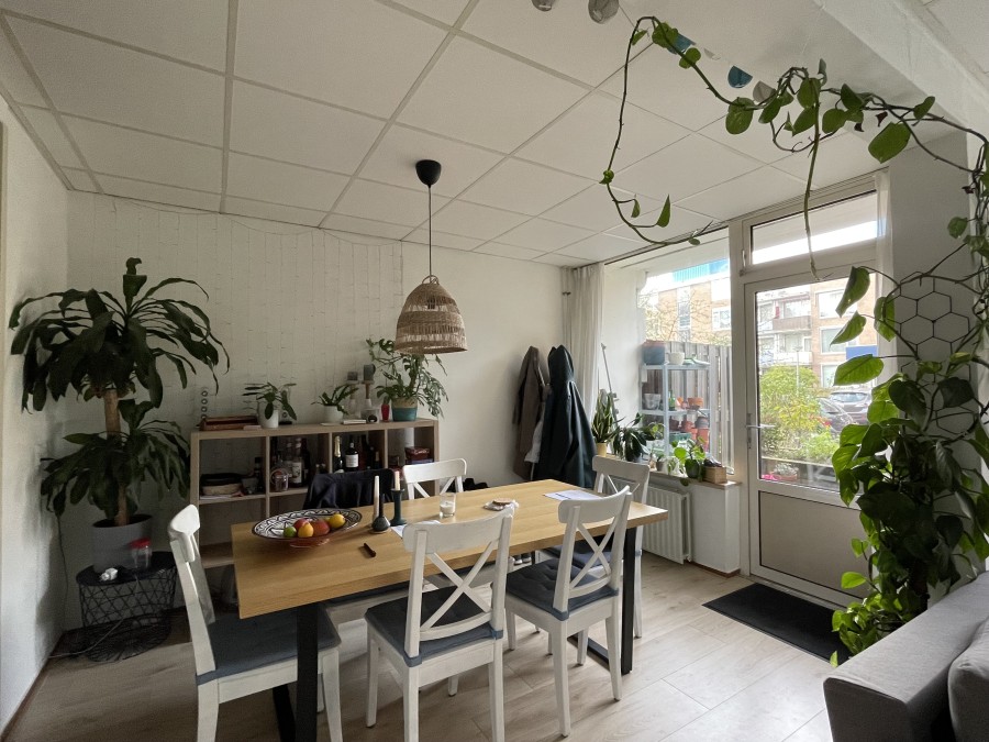 korianderstraat 01