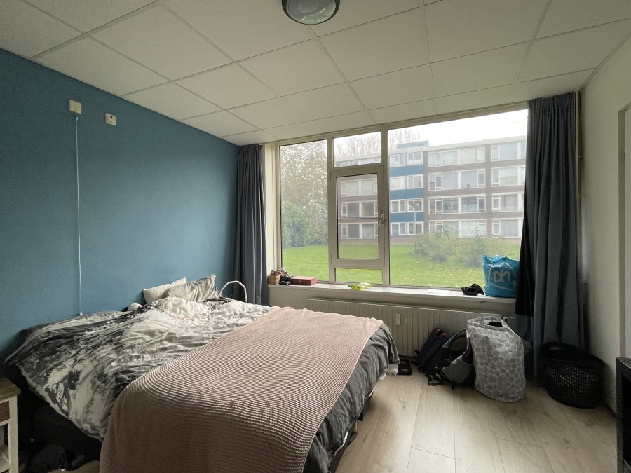 korianderstraat 01