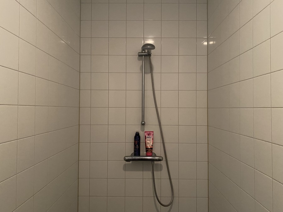 Image 11