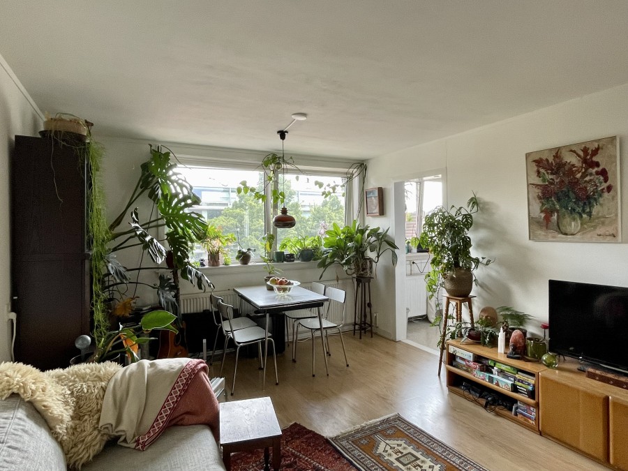 korianderstraat 01