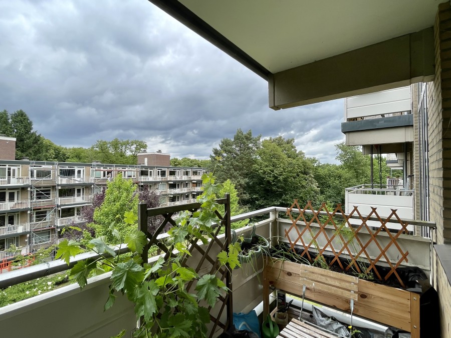 korianderstraat 01