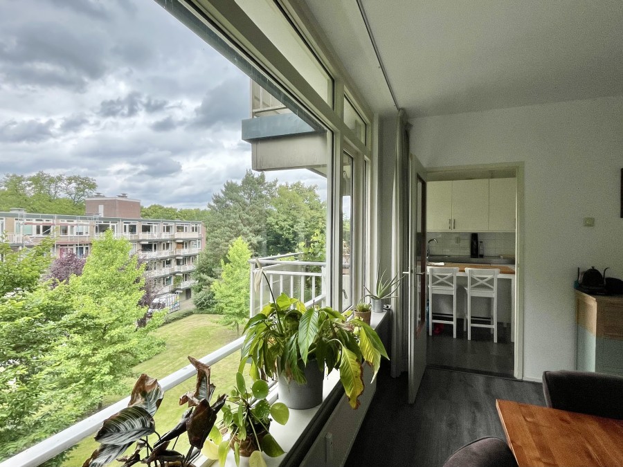 korianderstraat 01