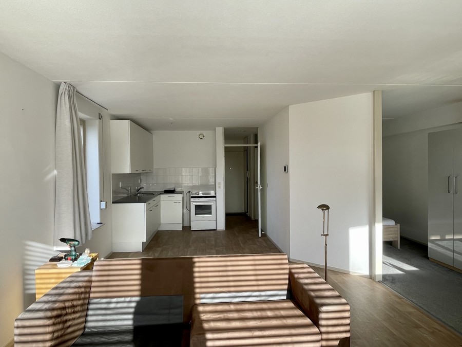 korianderstraat 01