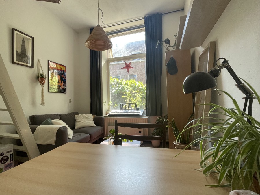 korianderstraat 01