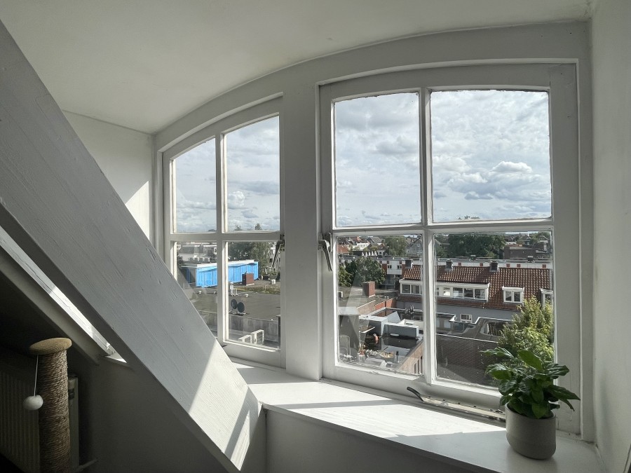 korianderstraat 01