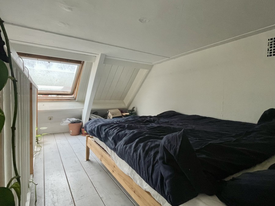 korianderstraat 01