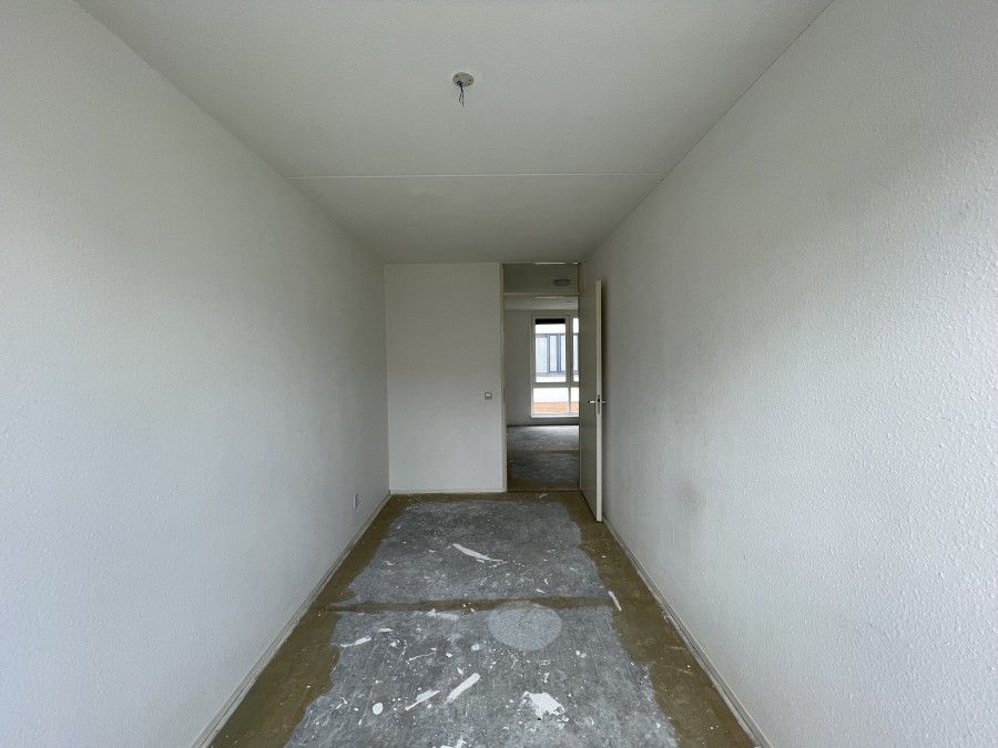 korianderstraat 01