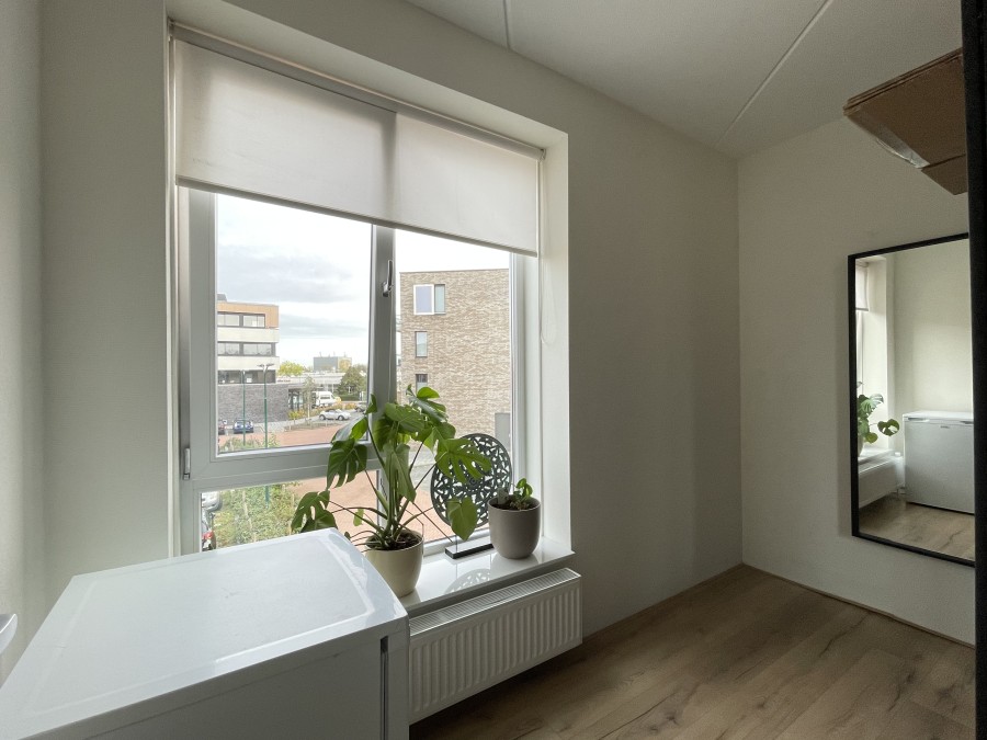 korianderstraat 01