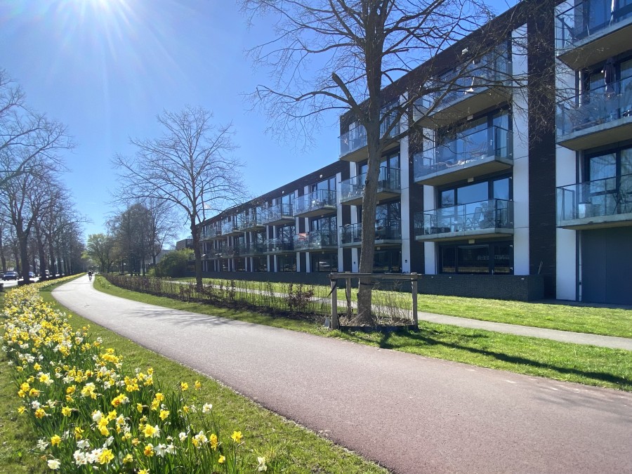 vrije-sector-woningen te huur op Selhorstweg