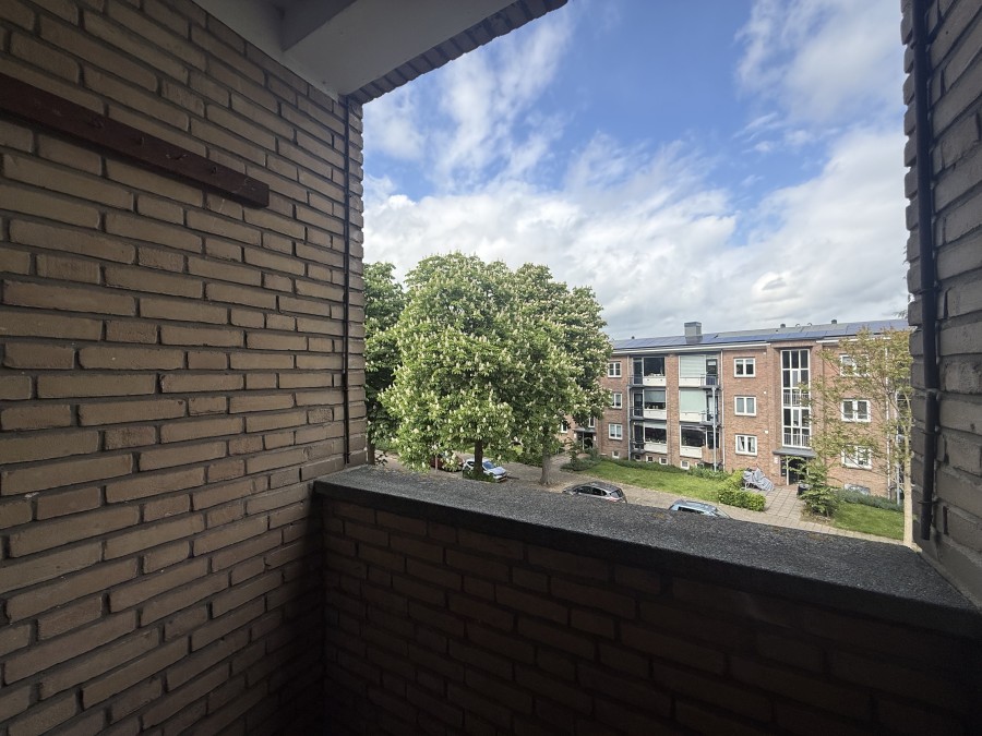 korianderstraat 01