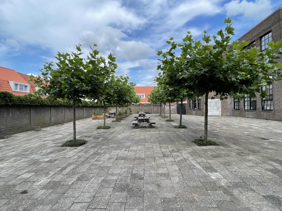 korianderstraat 01