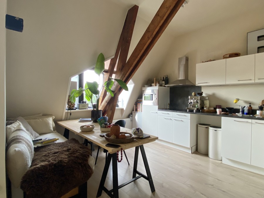 korianderstraat 01