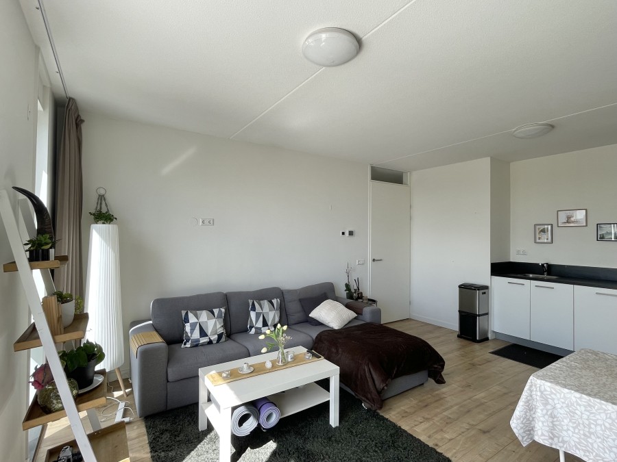 korianderstraat 01