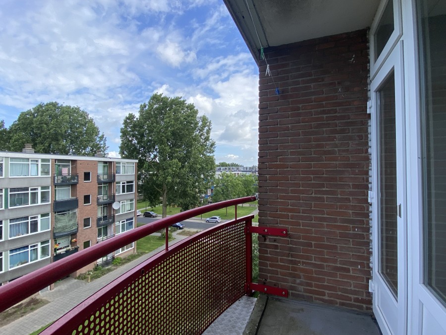 korianderstraat 01