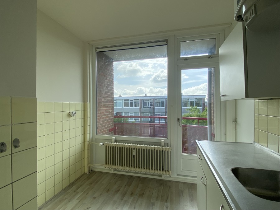 korianderstraat 01