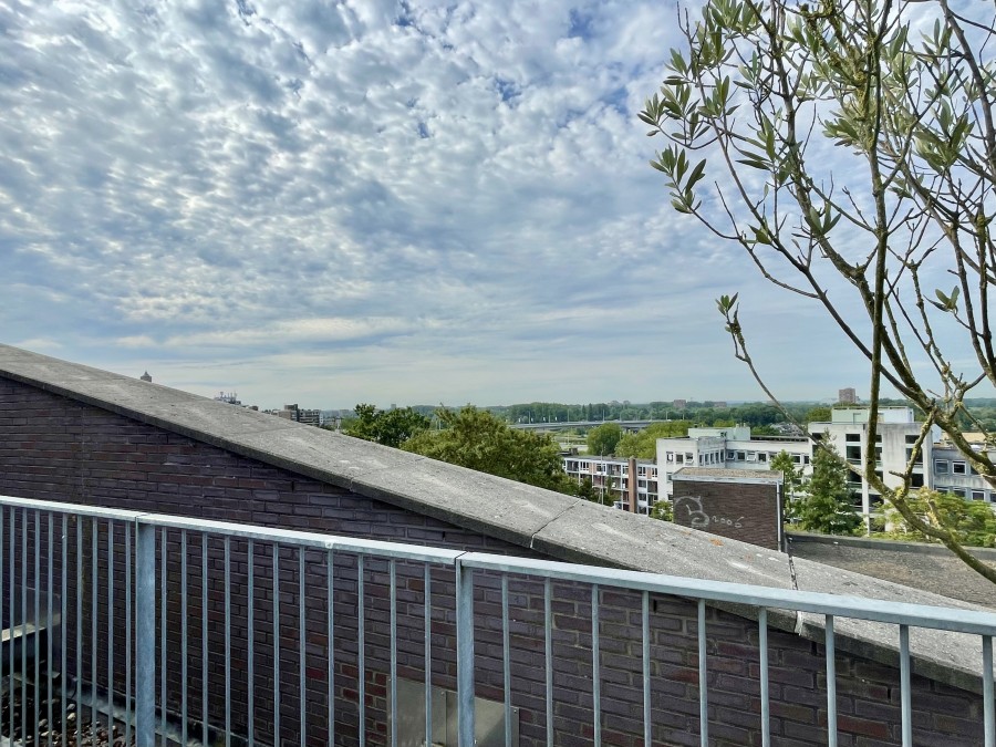 korianderstraat 01
