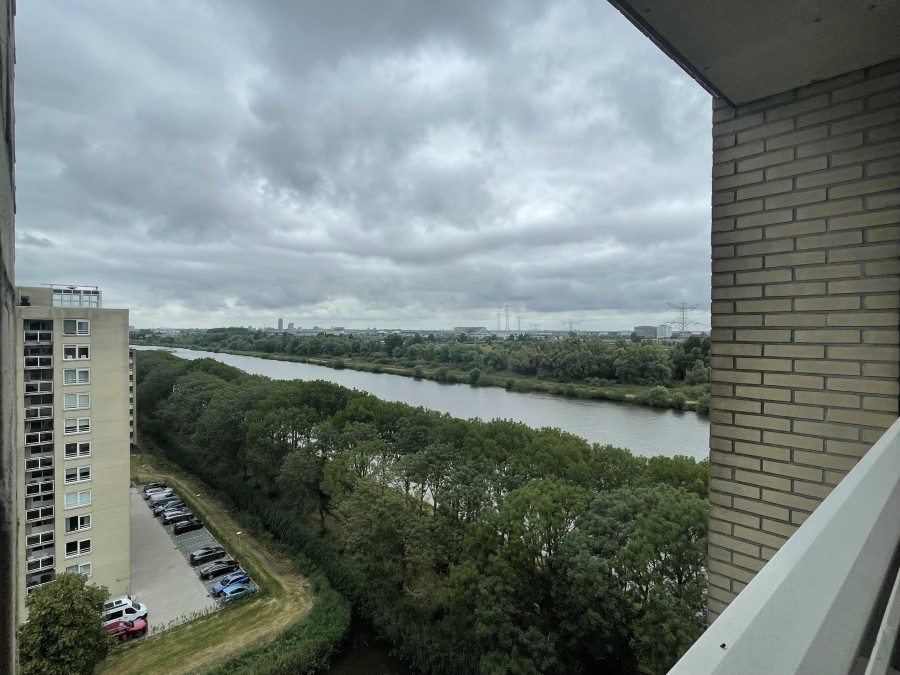 korianderstraat 01