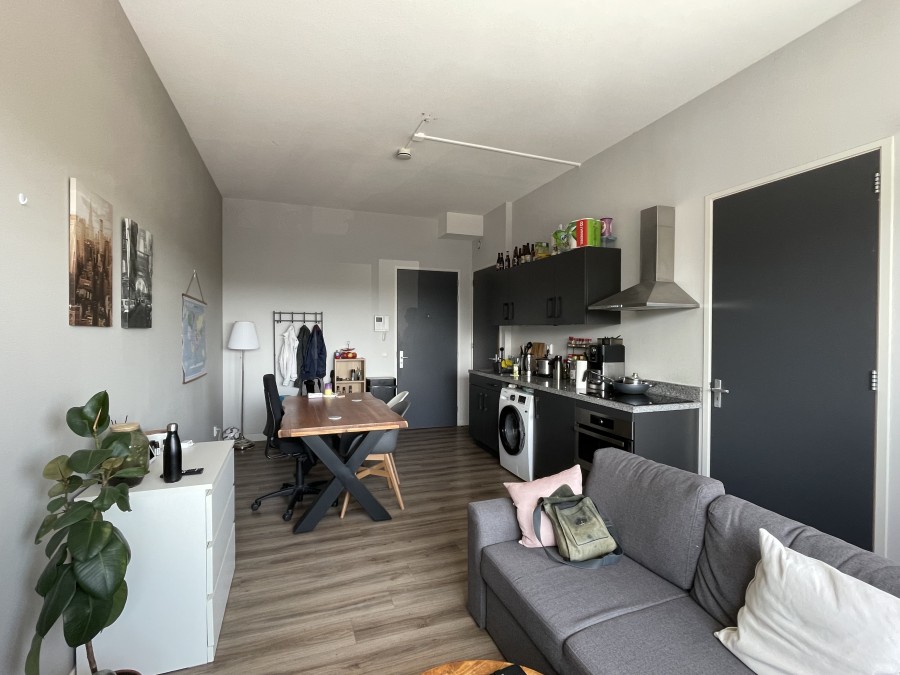 korianderstraat 01