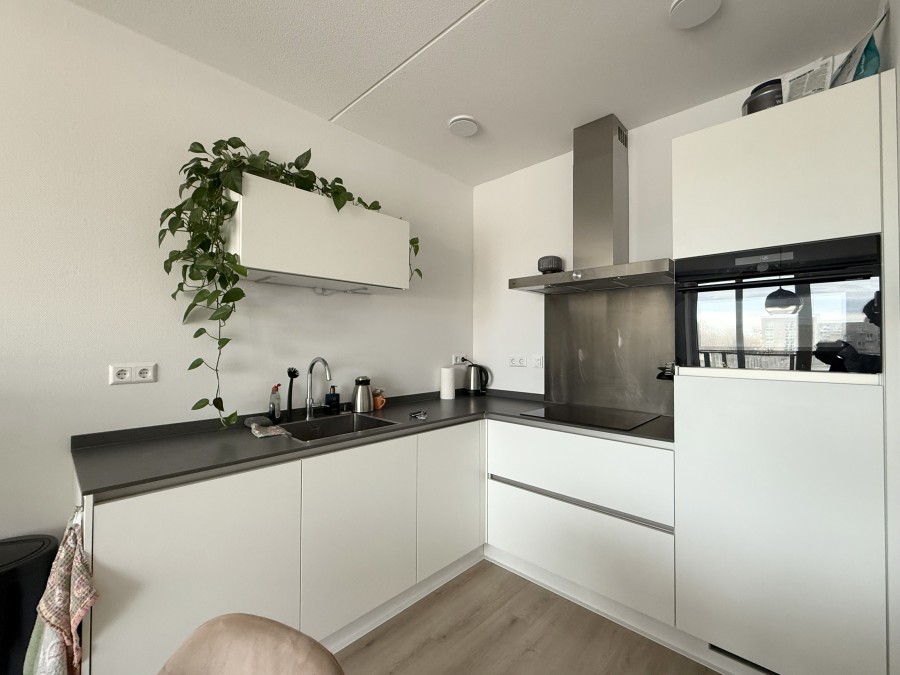 korianderstraat 01