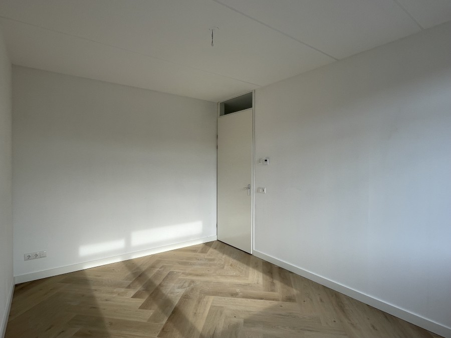 korianderstraat 01