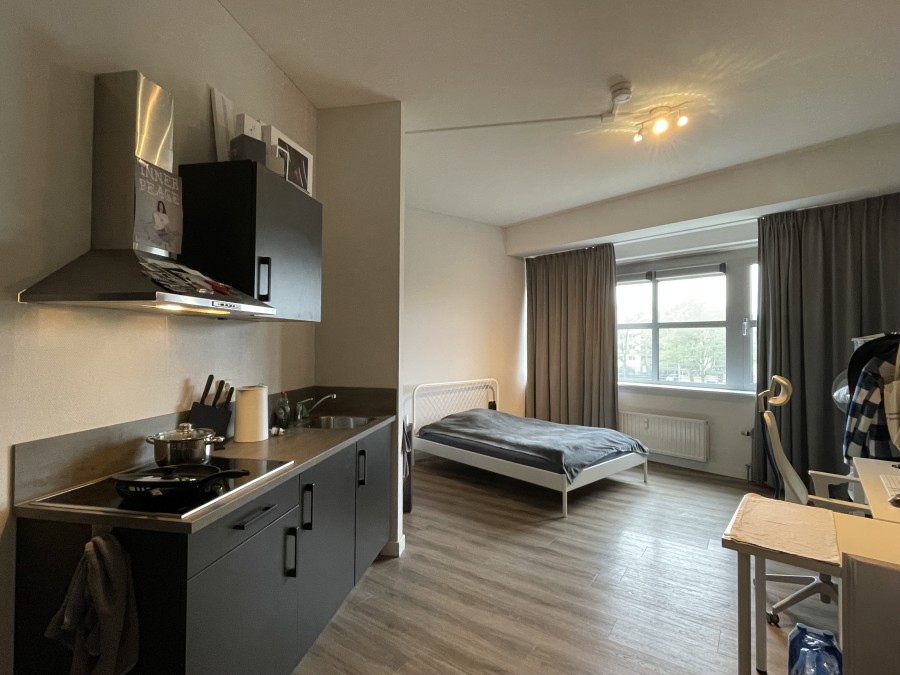 korianderstraat 01