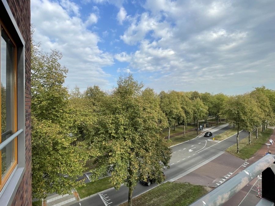 korianderstraat 01