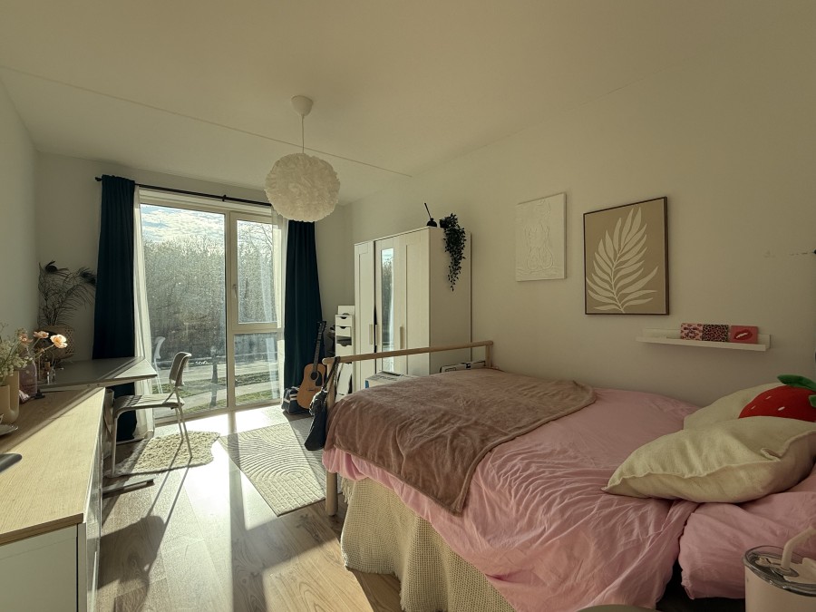korianderstraat 01