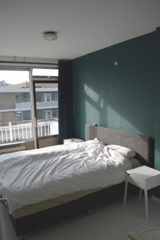 korianderstraat 01