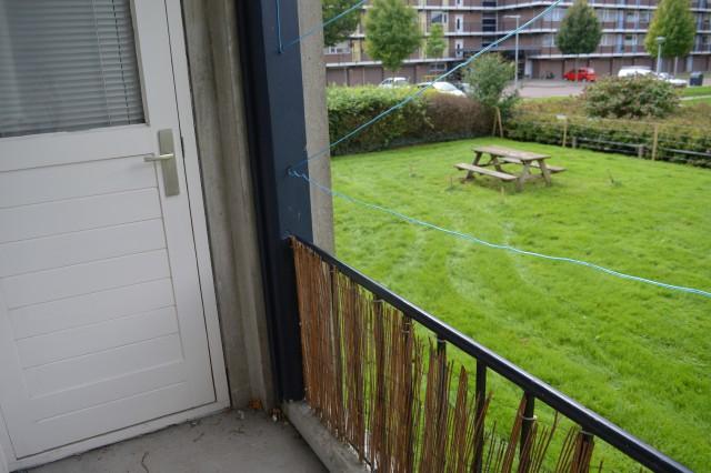 korianderstraat 01