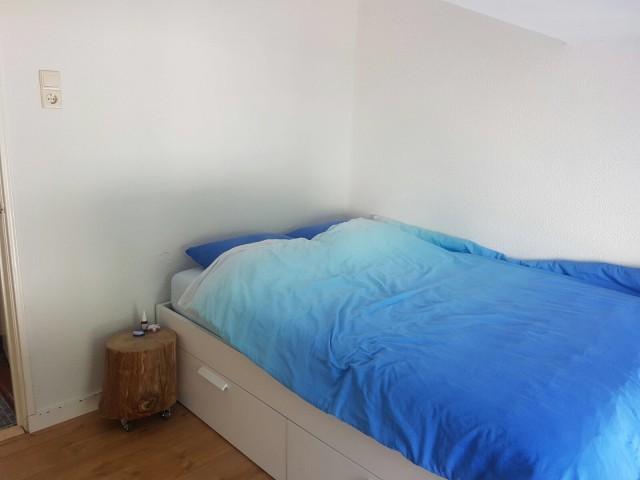korianderstraat 01