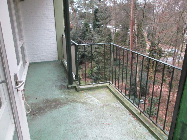 korianderstraat 01