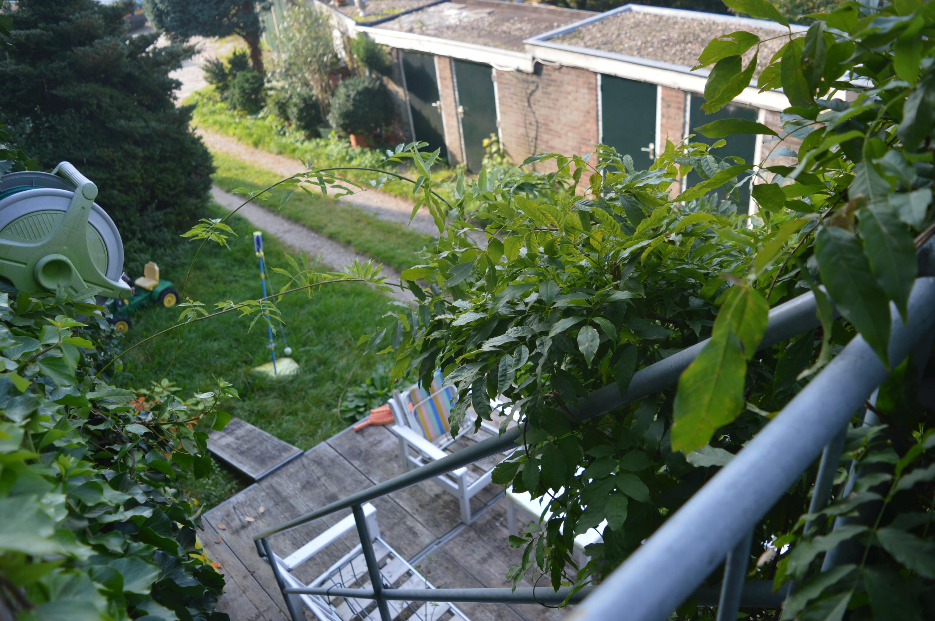 korianderstraat 01