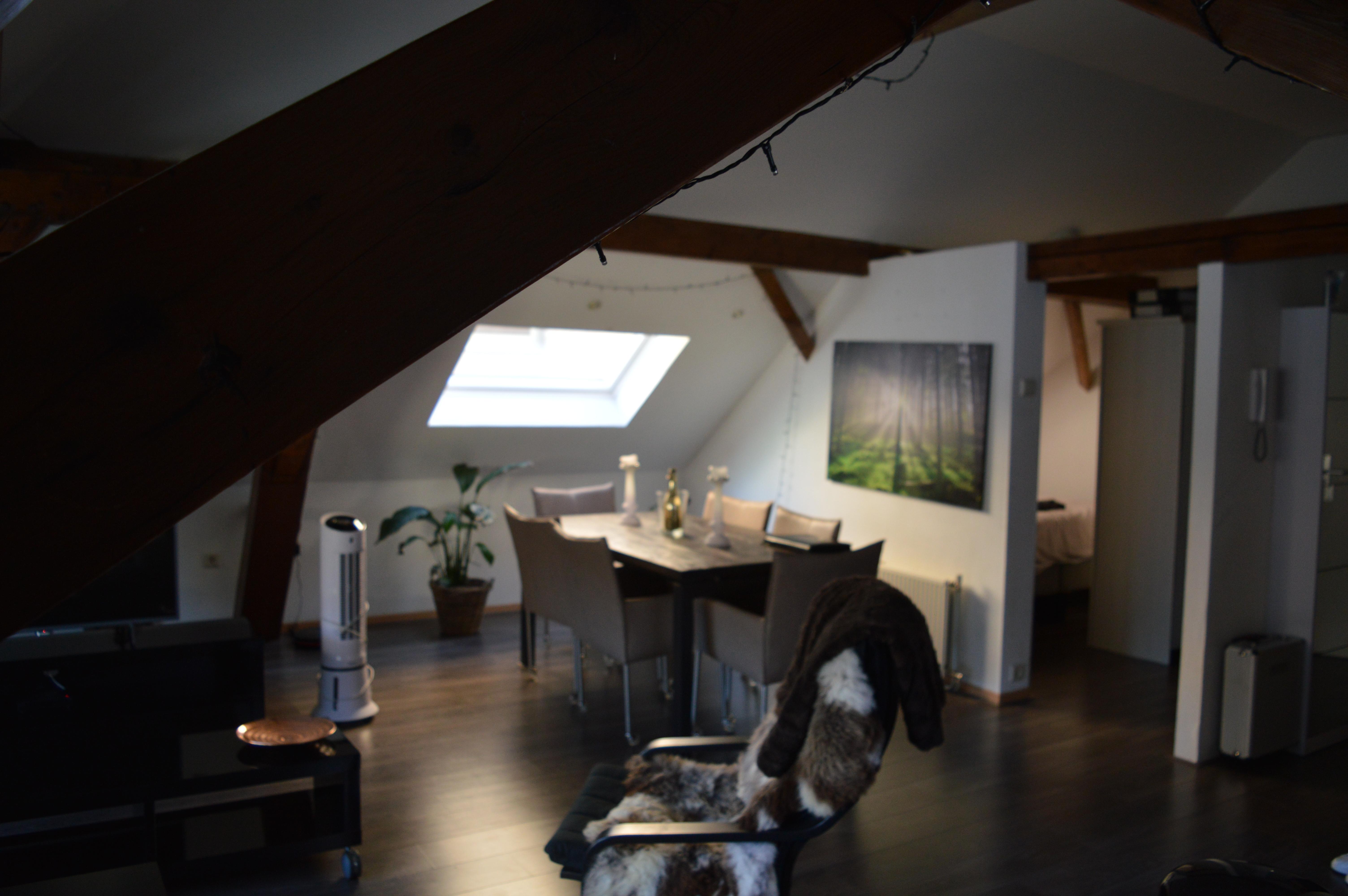 korianderstraat 01