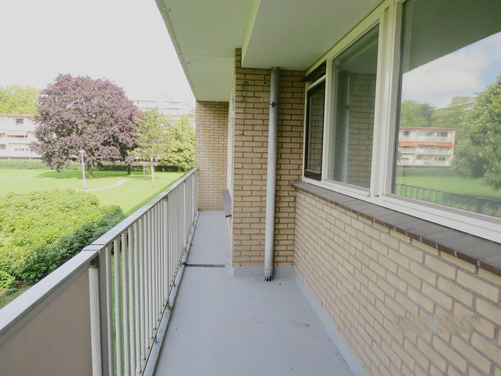 korianderstraat 01