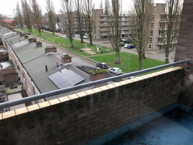 korianderstraat 01