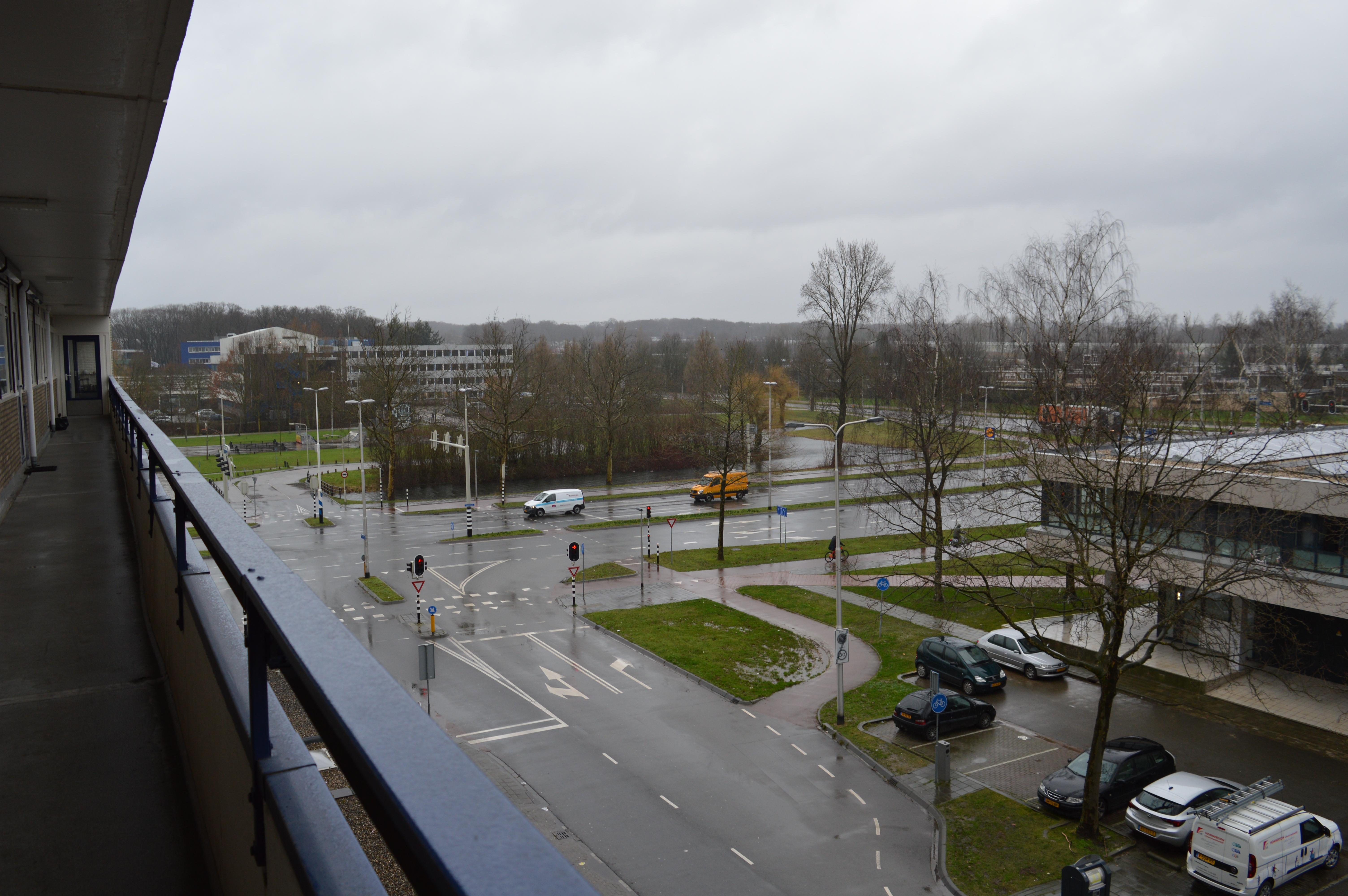 korianderstraat 01