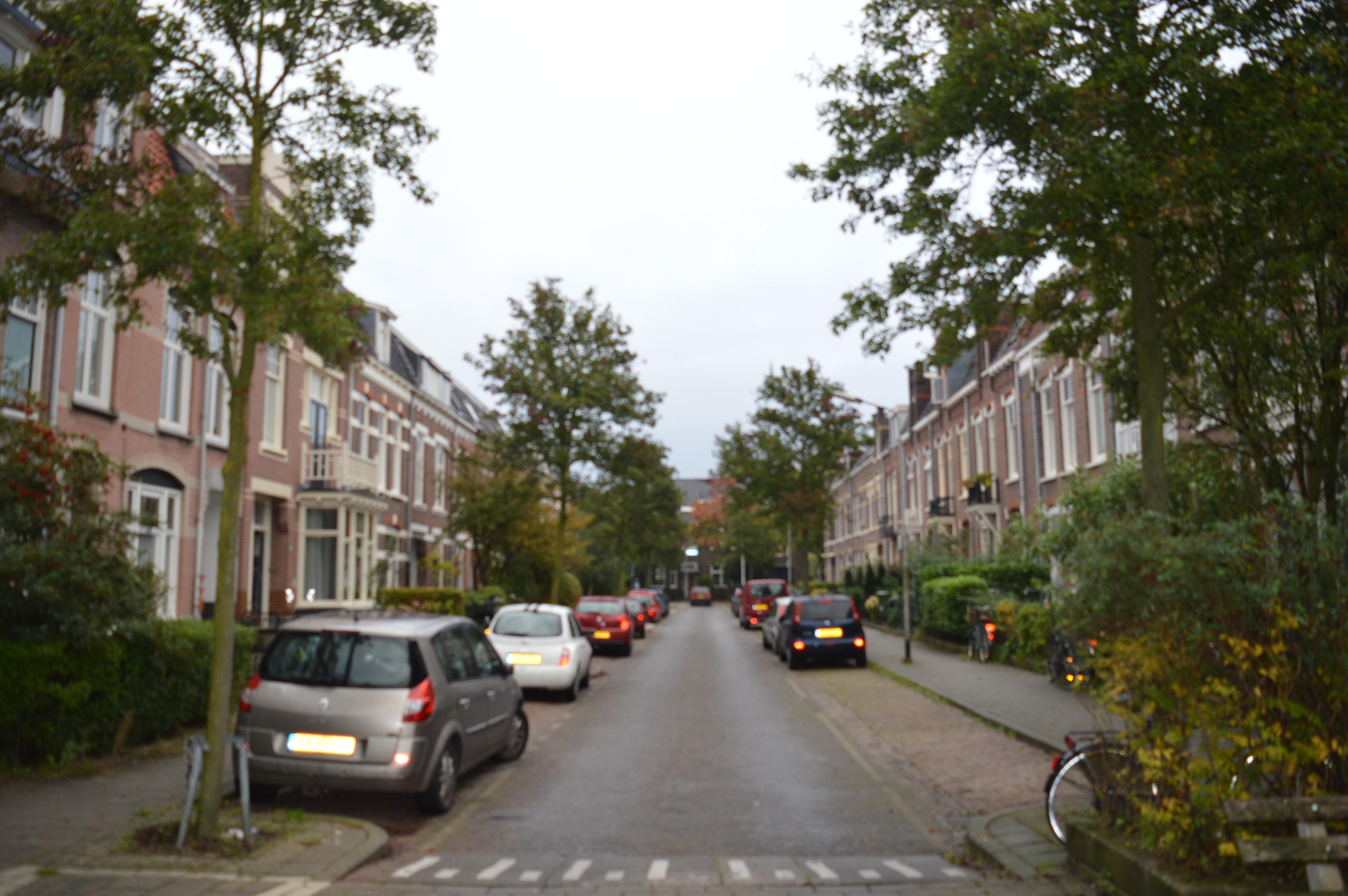 korianderstraat 01